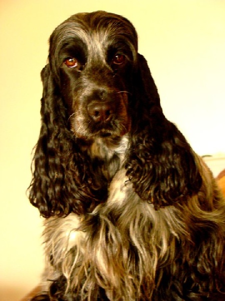 Empty pockets du Domaine de Kérarzic Vilin