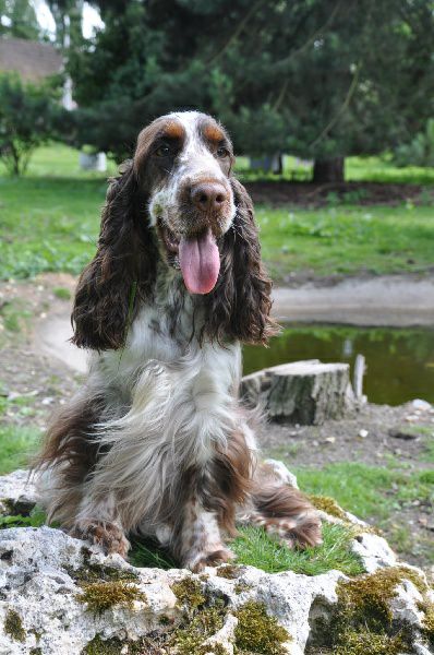 Funny chocolate joke du Domaine de Kérarzic Vilin